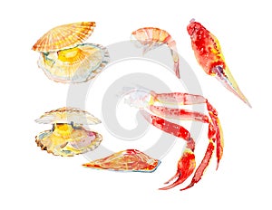 Set of different seafood. Trout, shrimp, scallops, king crab claws. Watercolor illustration isolated on white background