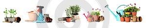 Set of different seedlings and gardening tools on background. Banner design