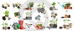 Set of different seedlings and gardening tools on background. Banner design