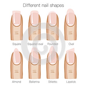 Set of different shapes of nails