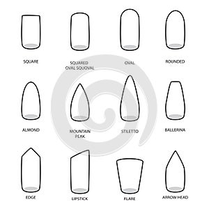 Set of different shapes of nails on white. Nail shape icons.