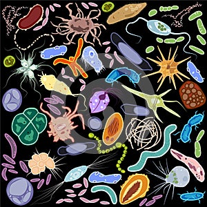 Set of different single-celled eukaryote Protozoas and prokaryote bacterias, Vector illustration photo