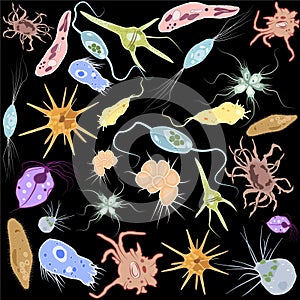 Set of different single-celled eukaryote Protozoas, Vector illustration photo