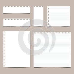 Set of different size ruled and blank note, notebook, copybook paper sheets.