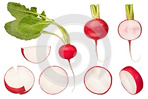 Set of different slices of radish on a white isolated background. Red radish with green tops on a white background. The