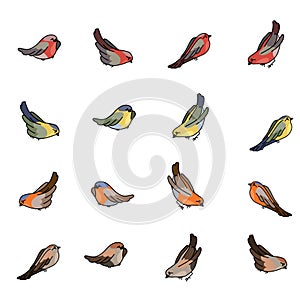 Set with different small birds - bullfinch, tit, robin and sparrow