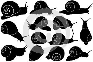 Set of different snail silhouettes