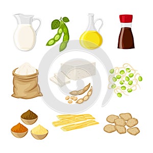 Set of different soy product in a flat cartoon style milk, oil, soy sauce, flour, tofu, miso, meat, tofu skin, sprouts