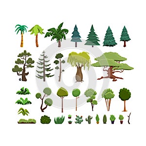 A set of different species of trees and shrubs in a flat style.