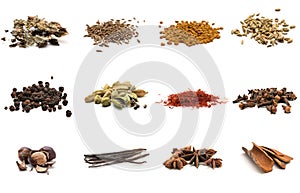 Set of different spices