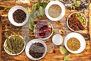 Set of different spices and herbs - black pepper, allspice, rosemary, cumin, hot pepper, bay leaf, coriander, cardamom, star anise