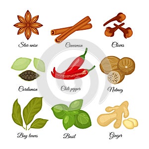 Set of different spices star anise, cinnamon, cloves, cardamon,