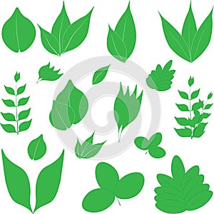 A set of different spring green leaves. A symbol of the ecology of spring
