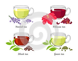 Set of different tea in glass cups isolated on white background. Herbal, Hibiscus, Green and Black tea.