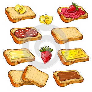 Set of different toasts with various topping isolated on white. collection of wheat sandwiches vector illustration