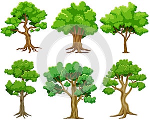 Set of different trees