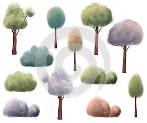 Set of different trees and shrubs