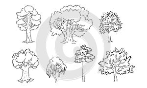 Set of different trees. Sketch style, black contours . Vector illustration