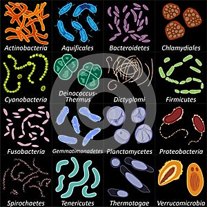 Set of different types of bacterias on black background, vector illustration photo