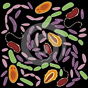 Set of different types of bacterias of human microbiome on black background, vector illustration