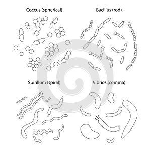 Set of different types of bacterias on white background.