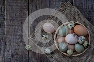 Set of different types birds eggs from chicken, pheasant and quail with feathers on a wooden background.