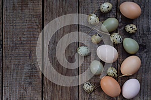 Set of different types birds eggs from chicken, pheasant and quail with feathers on a wooden background.