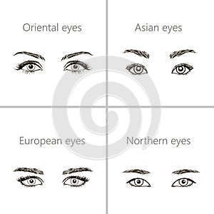 Set of different types of eyes.