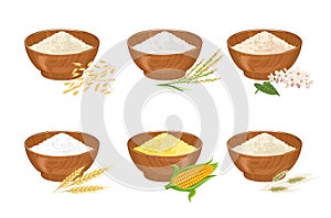 Set of different types of flour in wooden bowls and spikes isolated
