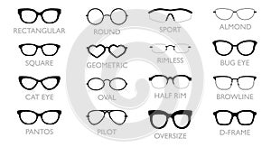 Set of different types of glasses - Rectangular Pilot, Round, Square, Cat Eye, Pantos, fashion accessory, Clubmaster