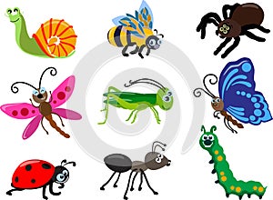 Set of different types of insects isolated on white background in flat style. Vector illustration.