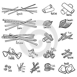A set of different types of pasta