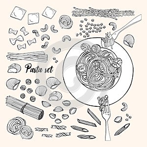 Set of different types pasta. Hand drawn collection spaghetti, macaroni, fusilli, farfalle, ravioli, tortiglioni, penne