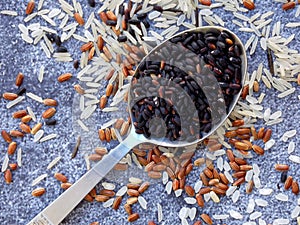 Set of different types rice on grey background: white glutinous, black, basmati, brown and mixed rice. Healthy concept. Top view.