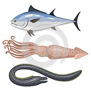 Set of different types of sea animals illustration tropical character wildlife marine aquatic fish