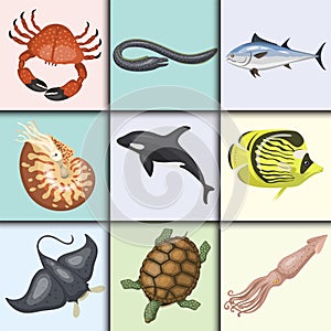 Set of different types of sea animals illustration tropical character wildlife marine aquatic fish