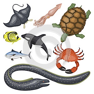 Set of different types of sea animals illustration tropical character wildlife marine aquatic fish