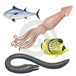 Set of different types of sea animals illustration tropical character wildlife marine aquatic fish