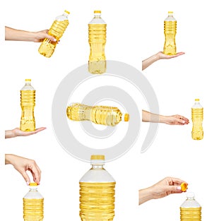 set of different vegetable or sunflower oil in plastic bottle with hand isolated on white background.