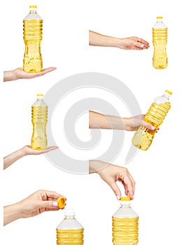 set of different vegetable or sunflower oil in plastic bottle with hand isolated on white background.