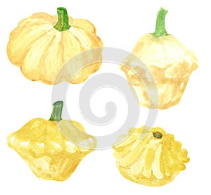 Set of different vegetables, hand drawn watercolor illustration. Pattypan squash.
