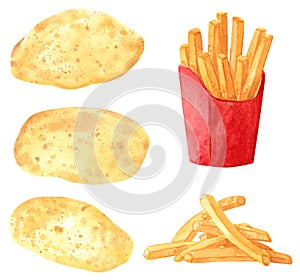 Set of different vegetables, hand drawn watercolor illustration. Potato and french fries