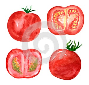 Set of different vegetables, hand drawn watercolor illustration. Tomato.