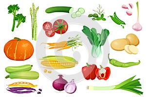 Set of different vegetables for healthy food