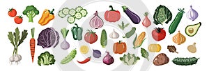 Set of different vegetables vector icons isolated.