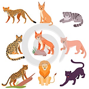 Set of different wild cats. Vector illustration on a white background.