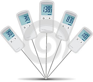 Set of digital thermometers with needle probes