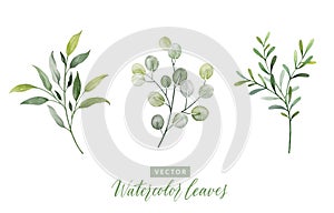 Set of digital watercolor painting branches with green leaves 1