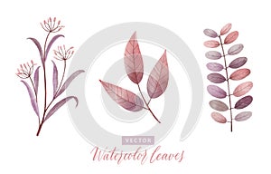 Set of digital watercolor painting branches with pink leaves 1