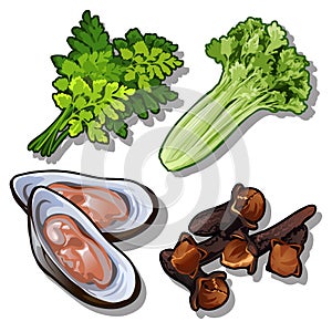 Set of dill, salad, oysters and carnation. Collection of good and healthy products. Vector food.